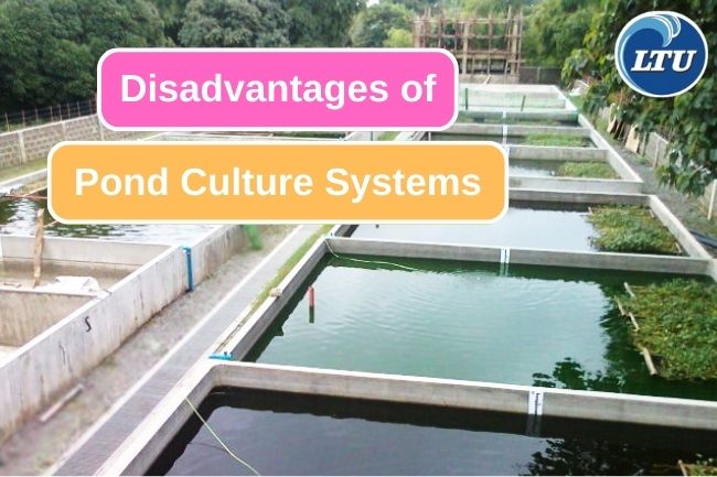 5 Weakness of Pond Systems as Fish farming Methods